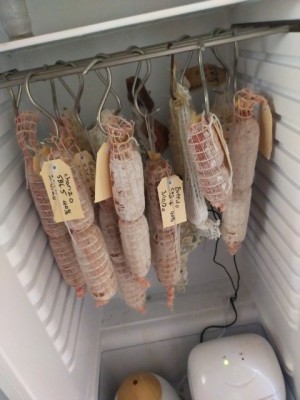 image000000 (4).jpg