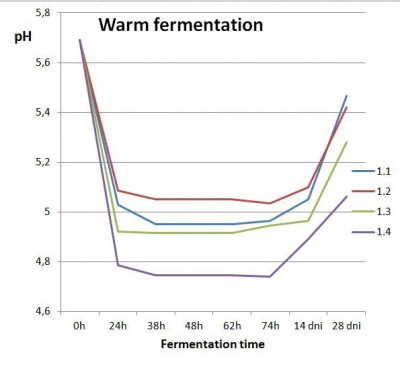 Warm ferment.jpg